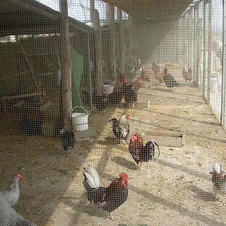 Barraca Gran デルテブレ