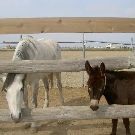 Barraca Gran デルテブレ