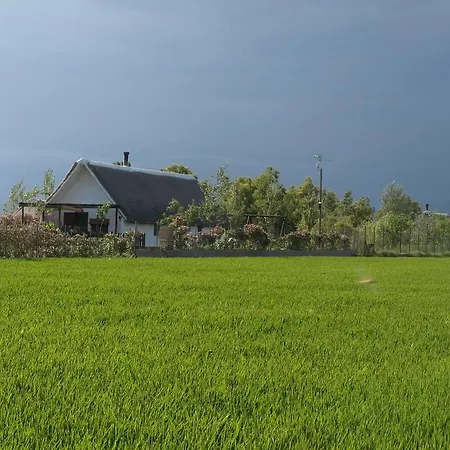 Barraca Gran度假屋 度假居